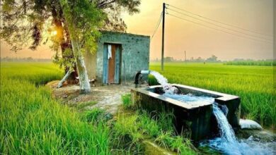 हरियाणा के मुख्यमंत्री मनोहर लाल ने प्रदेश में बढ़ती ठंड के कारण किसानों द्वारा अपने खेतों में पानी देने में आ रही परेशानी को दूर करते हुए एक बड़ा फैसला लिया है।