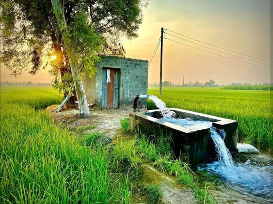 हरियाणा के मुख्यमंत्री मनोहर लाल ने प्रदेश में बढ़ती ठंड के कारण किसानों द्वारा अपने खेतों में पानी देने में आ रही परेशानी को दूर करते हुए एक बड़ा फैसला लिया है।