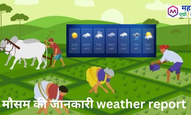 ATTACHMENT DETAILS मौसम-की-जानकारी-weather-report